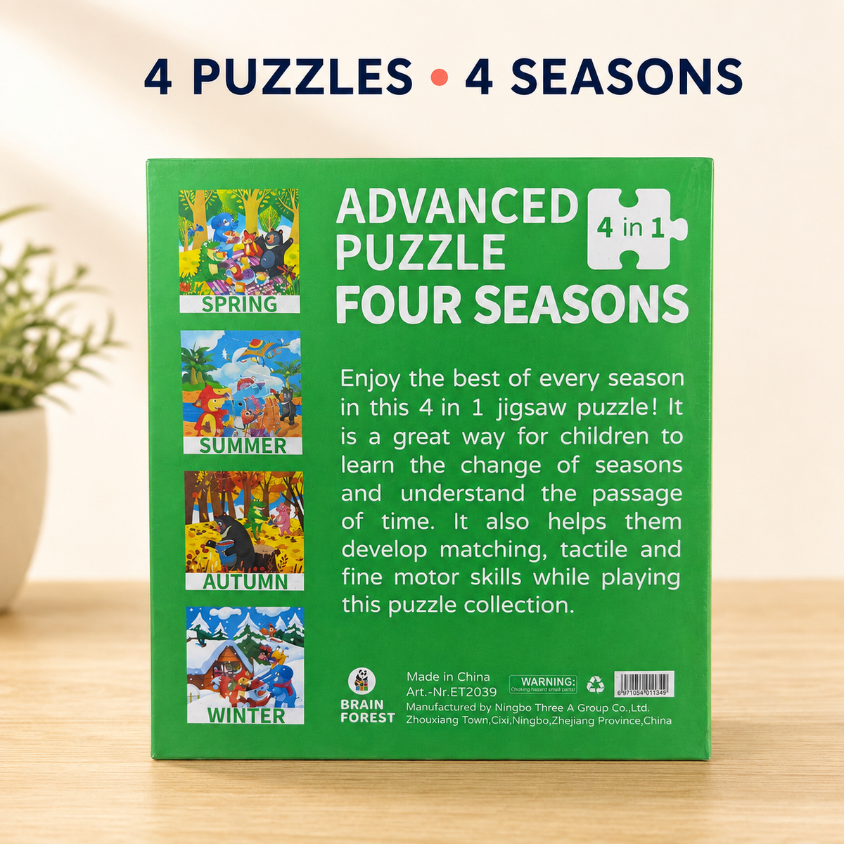 4-in-1 Progressive Puzzle